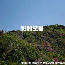 윗세오름 | [100대명산] 한라산 진달래는 바로 지금! 어리목 ~ 윗세오름 ~ 영실 대중교통 등산 후기