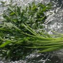 슬로우팜 이미지