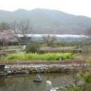 부영농원 이미지