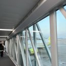 생선노점상(오수시장 노점상) | '26 Bangkok 01 - 어떠꺼 짜뚜짝 시장 구경