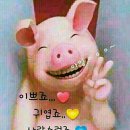 황금 이미지