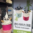대학뮤직랜드 | 라이즈 에버랜드 팝업 에버라이즈 EVER RIIZE 오픈런 후기(모바일 미션 정답, 포카)