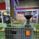 마도로스횟집돌고래조개구이회센타 | 당진 삽교호 조개구이, 마도로스횟집 돌고래조개구이 회센타 솔직후기