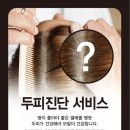 라브리지헤어 이미지