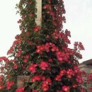 미담한방병원 이미지