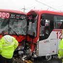 고양화전15 이미지