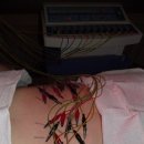 동서림한의원 이미지