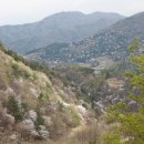 금산-64 Daum카페