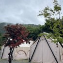 가평애견동반글램핑 리즈밸리글램핑펜션, 양갈비 바베큐까지 제대로 즐긴 후기
