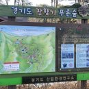 푸른숲 | [가평 여행] 아기랑 유모차로 산책하기 좋은 '경기도 잣향기푸른숲' 방문 후기 🌲✨