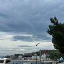 동해를 그리다 이미지