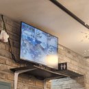 낙동강장어 이미지