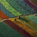 (주)에코팜 이미지