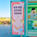 디자인감자 이미지