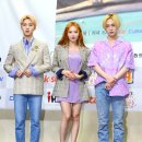 트리플 H 카카오 검색결과