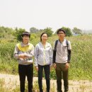 Re:2015.06.12 김포공항 오쇠습지 탐사 with 안재하 연구원님 이미지