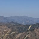 새별태양광발전소 이미지