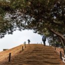 중앙대로196번길 이미지