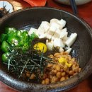 쯔쿠시