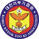 도일격투기 네이버블로그