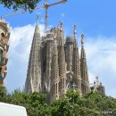 다라1천 | 바르셀로나 여행코스 가우디 사그라다 파밀리아 성당 내부 예약 입장권 강추 후기 ♥