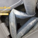 클린독 펜션 이미지