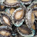 김재덕농장 이미지