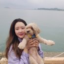 마이피트니스 상계보람점 이미지