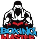 복싱마스터 이미지