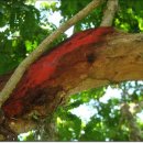 나무교역 이미지