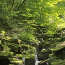 광명여인숙 이미지