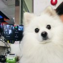 창노래연습장 이미지
