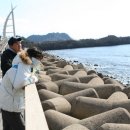 2011년 1월 17일 4도민의 제주 나들이! 이미지