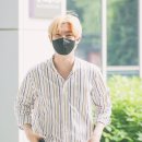 태디