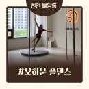 댄스복전문 - 포천시 포천로1585번길 23 | 오하운 폴댄스 첫 수업 리얼후기(초보 폴댄스 도전기)