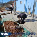 포천회관 이미지