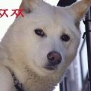 오빠불닭발