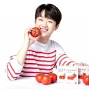 토마토광고 이미지