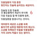 일억원내고봐도아깝지않아요 이미지