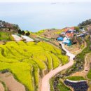 남면목장 이미지