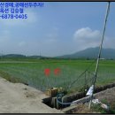 상주시청리면삼괴보건진료소 | [ 청리면, 경매 ] 상주시 청리면 삼괴리 630-47 경매매물