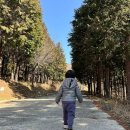 봉동 구수골 계곡 | 전라남도 농촌유학. 해남 현지 생활하기 실행편 2탄