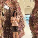 콩코드(Concord) | 스타필드 헬스장 콩코드 CONCORD 이용후기