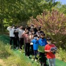 브니엘태권도장 이미지