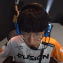 카르페 이미지