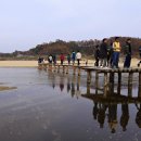 영주 무섬마을 이미지