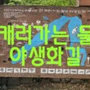 연꽃마을 건넌들 이미지