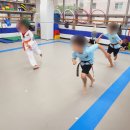 효도하는태권도장 이미지
