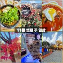 발바닥공원 | 11월 셋째 주 일상