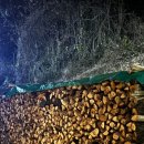 양구불가마한증막 이미지